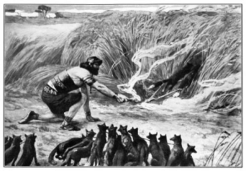 شمشون يشعل حقول الفلسطينيين